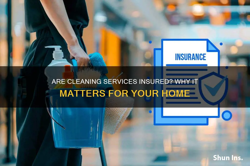 should cleaning services be insured