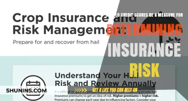 Credit Scores: Predicting Insurance Risk?
