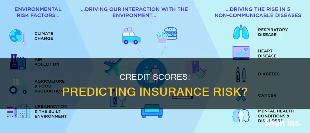 should credit scores be a measure for determining insurance risk