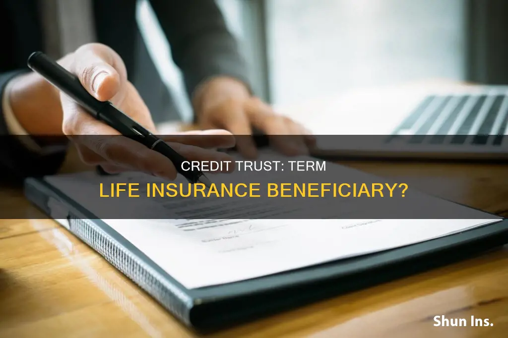 should credit trust be beneficiary of term life insurance