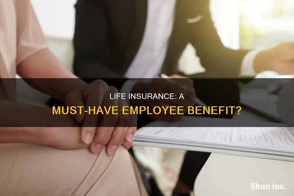 should employers offer life insurance