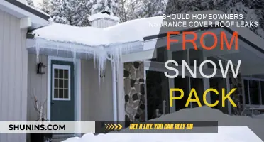 Roof Leaks and Snow: Are You Covered?