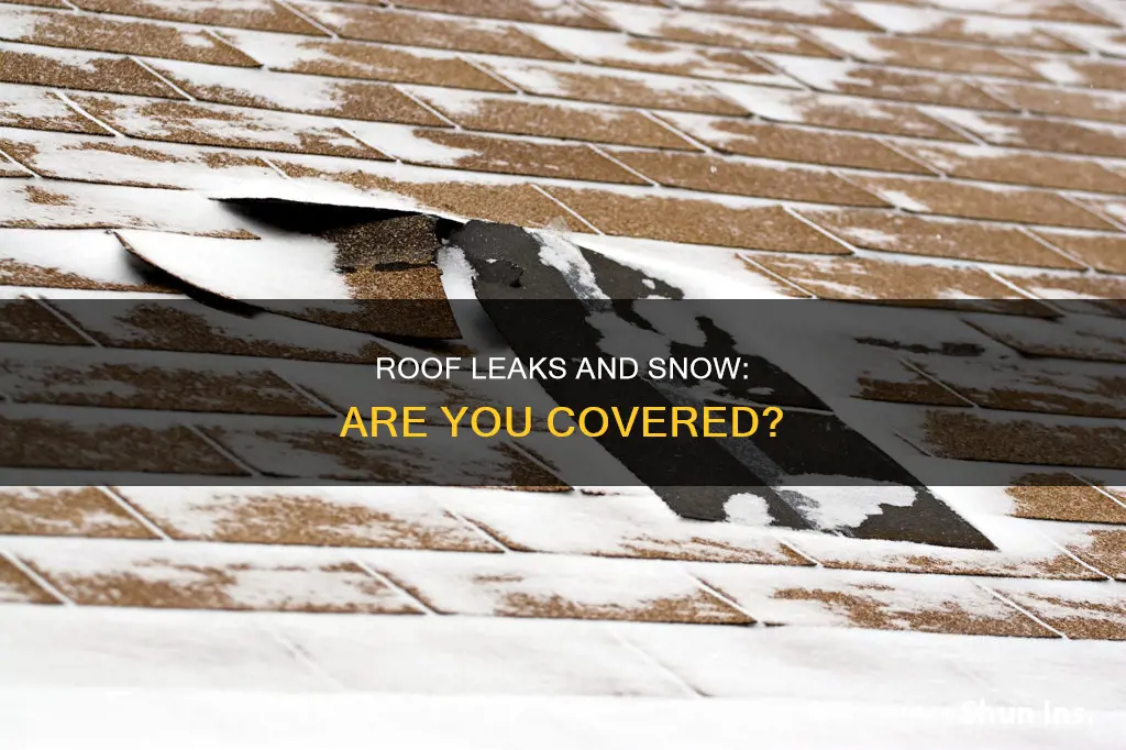 should homeowners insurance cover roof leaks from snow pack