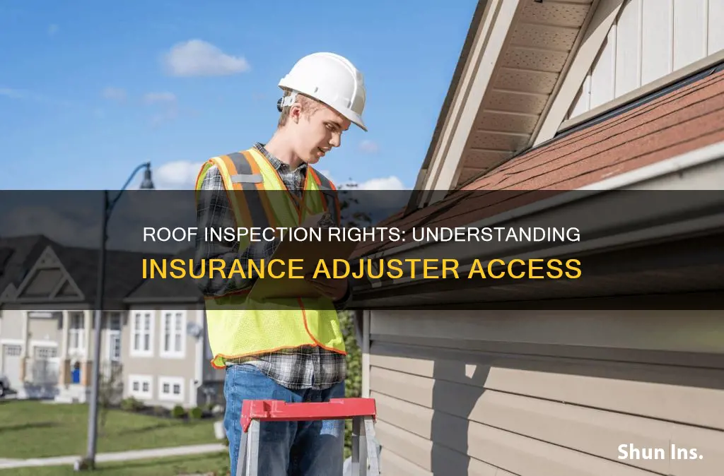 should I allow insurance adjuster to look at my roof