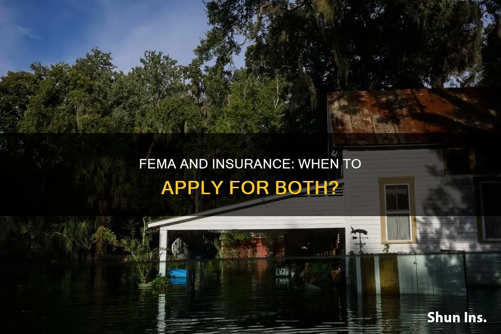 should I apply for fema if I have insurance