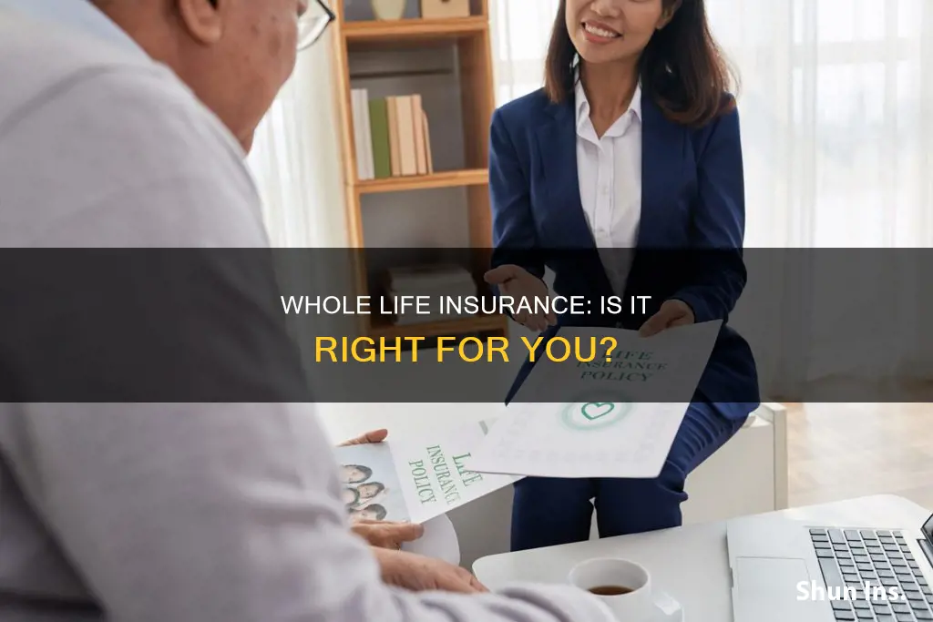 should I apply for whole life insurance