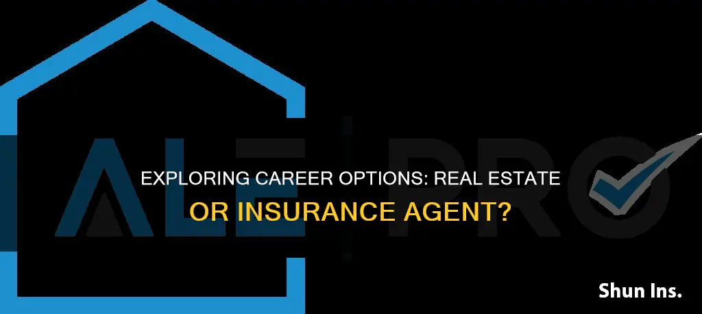 should I be a real estate agent or insurance agent