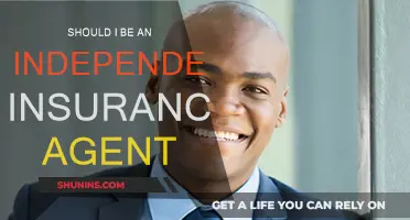 Why Being an Independent Insurance Agent is Advantageous