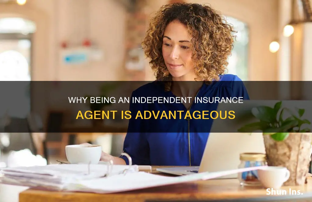 should I be an independent insurance agent
