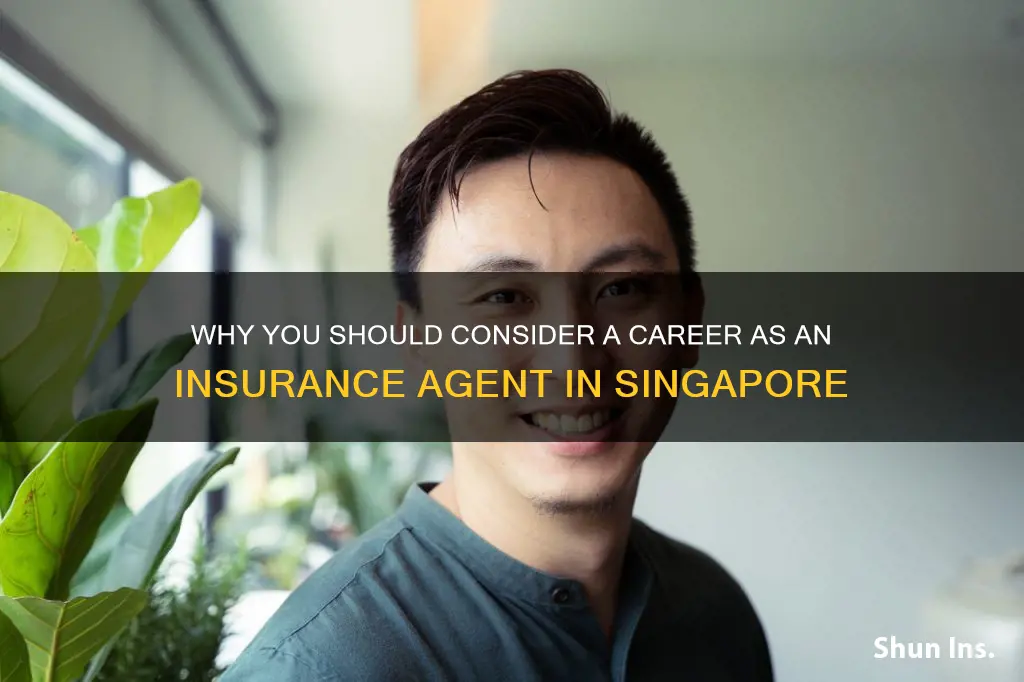 should I be an insurance agent singapore