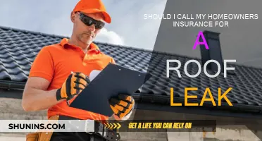 Homeowners: When to Call Insurance for a Roof Leak