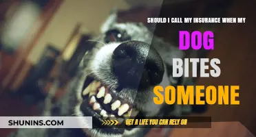 When Your Dog Bites: Insurance Liability Explained
