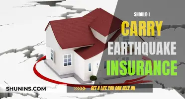 Earthquake Insurance: Is It Worth the Cost?