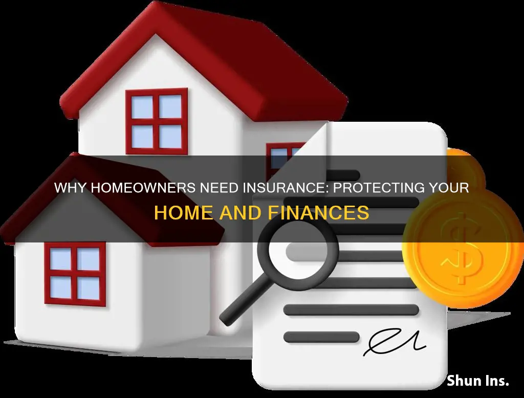 should I carry homeowners insurance
