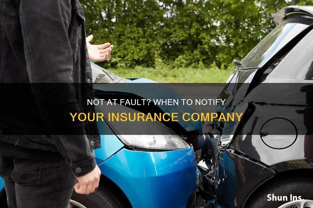 should i contact my insurance if i
