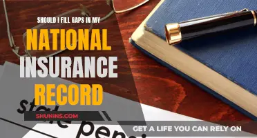 National Insurance Record: Fill Gaps or Not?