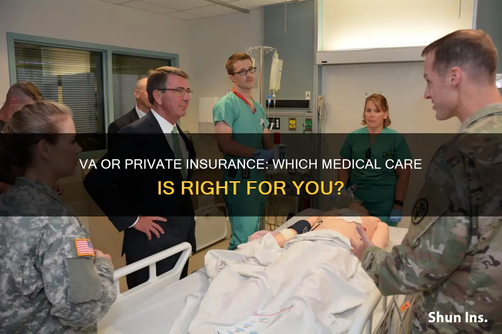 should I get va medical assistance or private insurance
