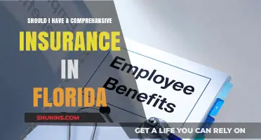 Florida Car Insurance: Do You Need Comprehensive Coverage?