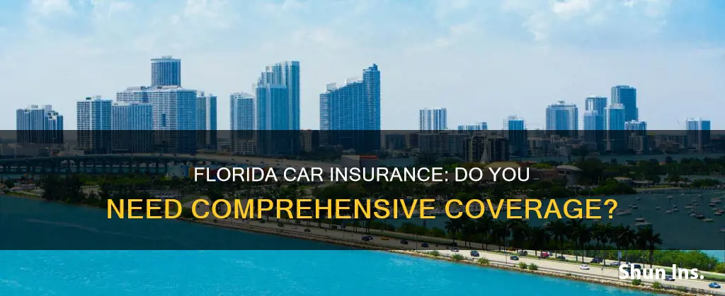 should I have a comprehansive insurance in Florida