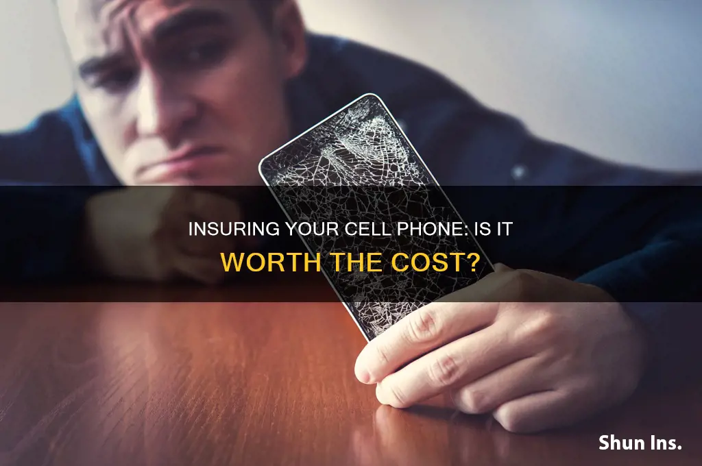 should I insure my cell phone for loss or theft