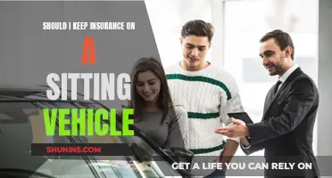 Sitting Vehicle Insurance: Worth It?