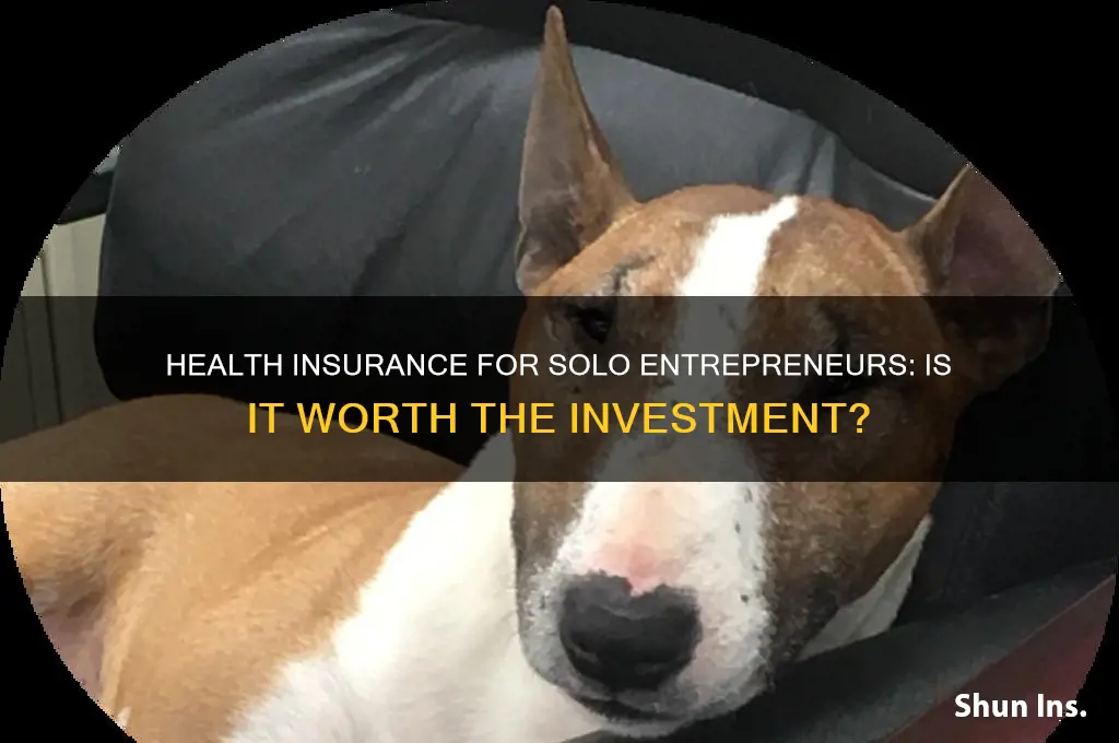 should i provide health insurance through my single person business