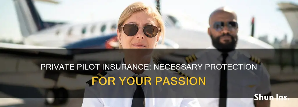 should I purchase private pilot insurance