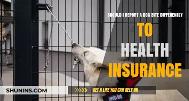 Dog Bite Reporting: How to Handle Health Insurance Claims Properly