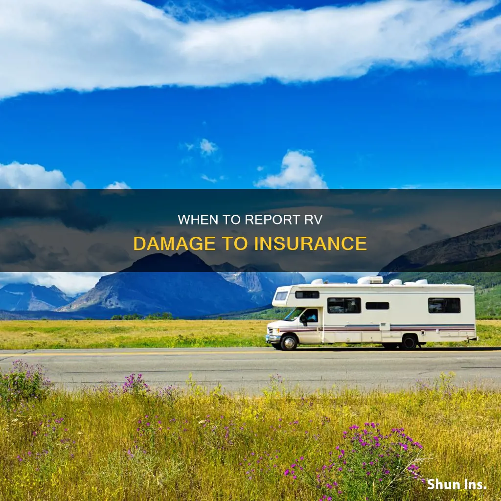 should I report damage to my rv to the insurance