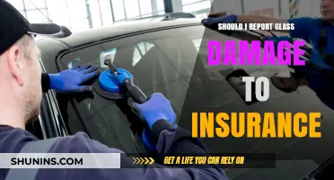 Reporting Glass Damage: When to Involve Your Insurance