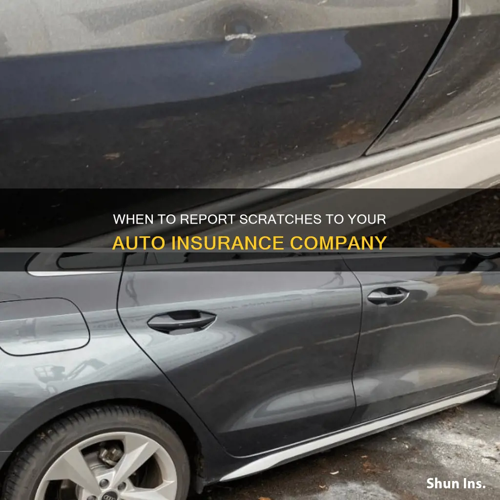 should I report scratch to insurance