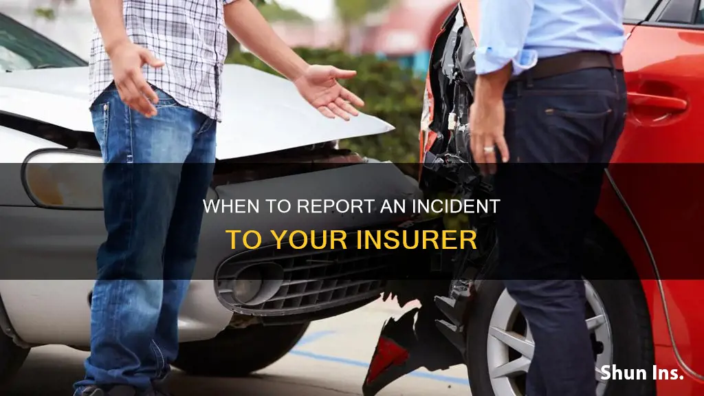 should I report to insurance