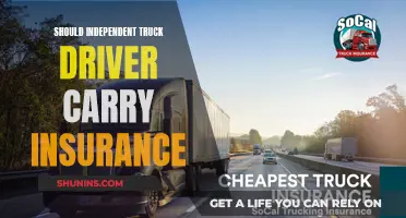 Truckers: Insure Your Rig