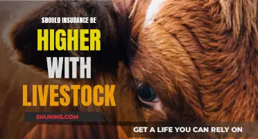 Livestock Insurance: Balancing Risk and Reward