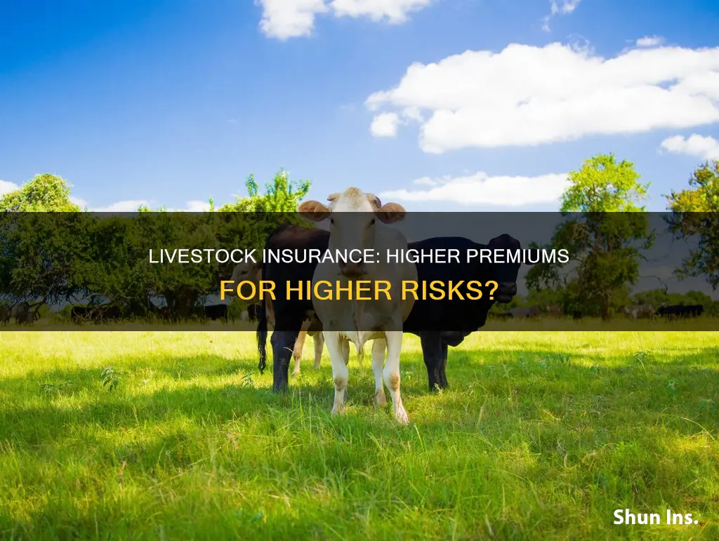 should insurance be higher with livestock