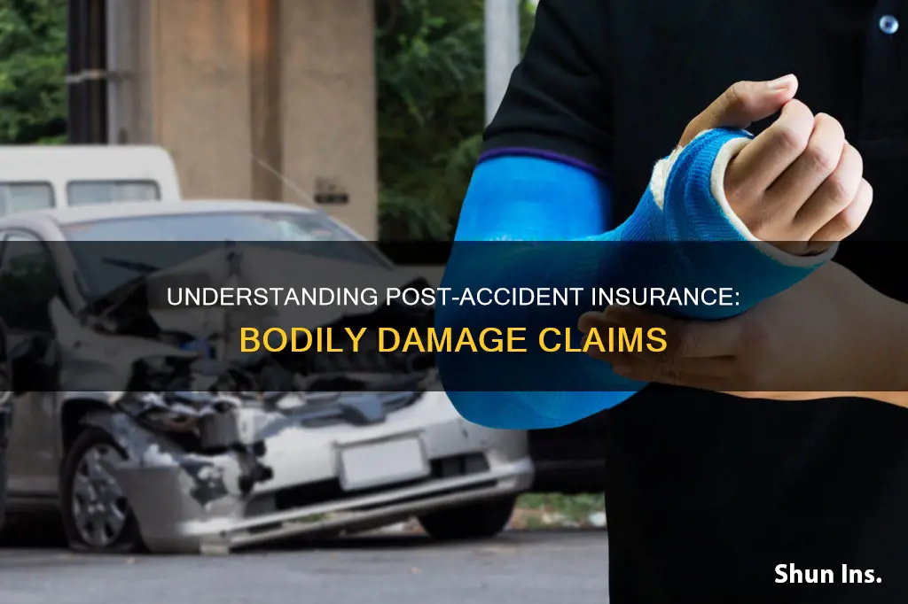 should insurance contact me about bodily damage after accident