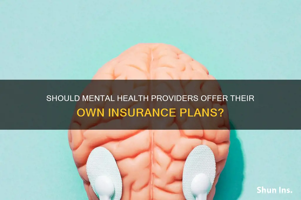 should mental health providers provide their own insurance market