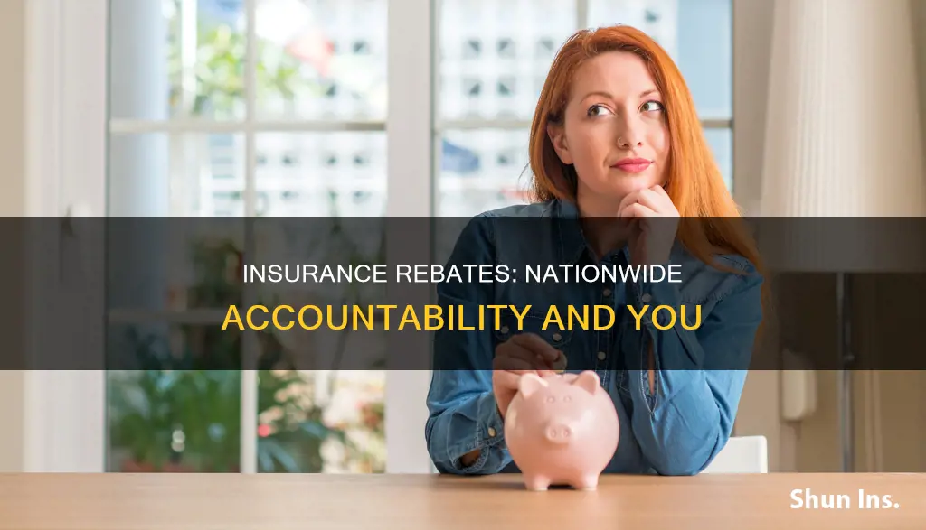should nationwide insurance rebates accounted 4
