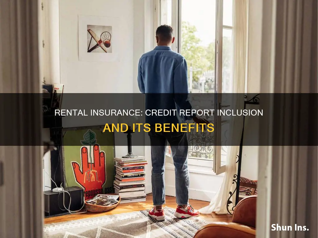 should rental insurance be included in credit report