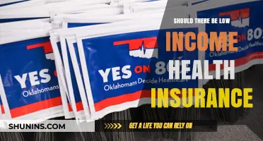 Affordable Health Insurance: A Lifeline for Low-Income Families?