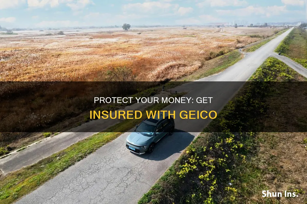 should ve got that insured geico for your money