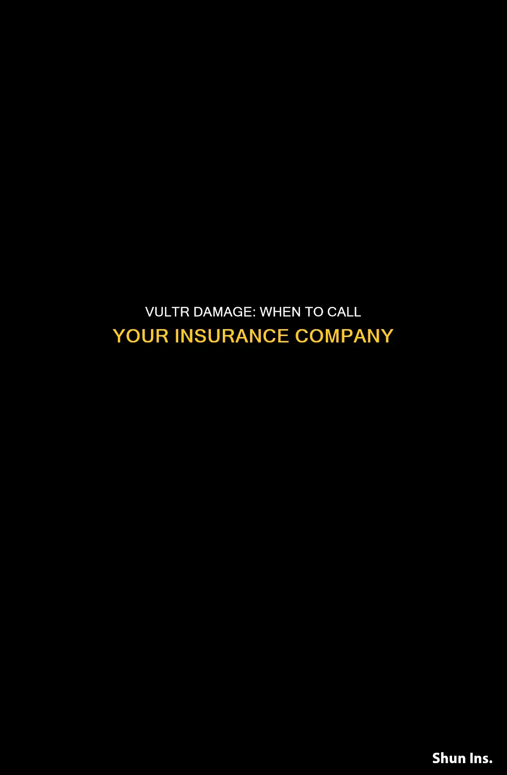 should you call insurance from vultr damage