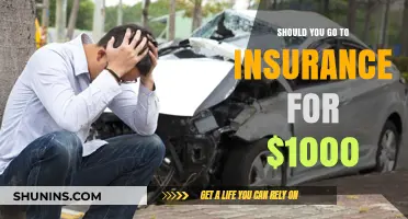Is Insurance Worth the Thousand-Dollar Investment?