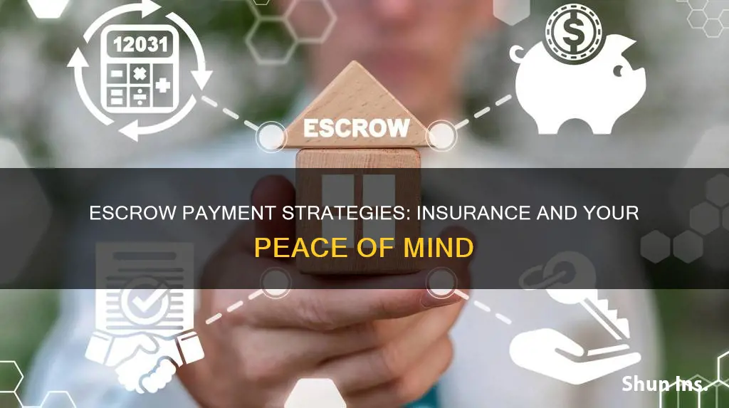 should you increase escrow payment for insurance