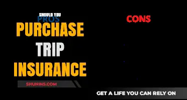 Trip Insurance: Is It Worth the Cost?