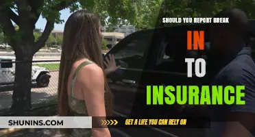 Insurance Claims: Reporting a Break-In