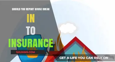 Reporting a House Break-In: When to Involve Insurance