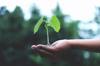 term life insurance