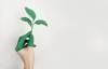 term life insurance