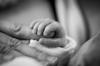 term life insurance